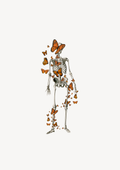Metamorphosis Skeleton and Monarch Butterflies | Life and Death Gothic Wall Art | Premium Matte & Metal Poster by Steckefy